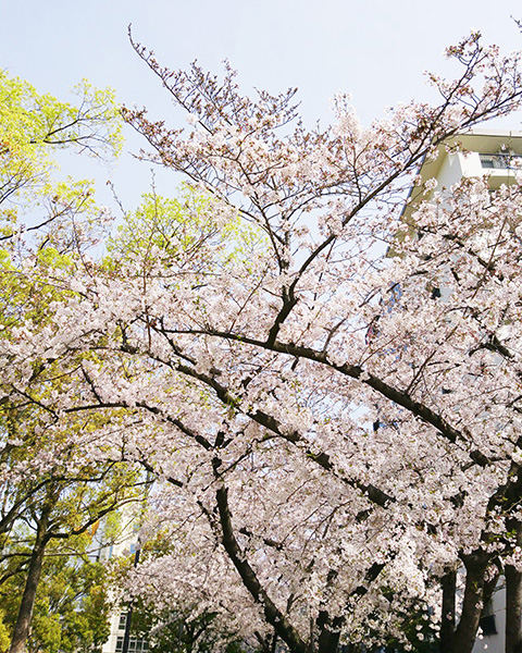 江坂公園