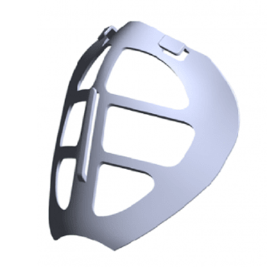 Mask inside holder