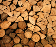 Wood and its products